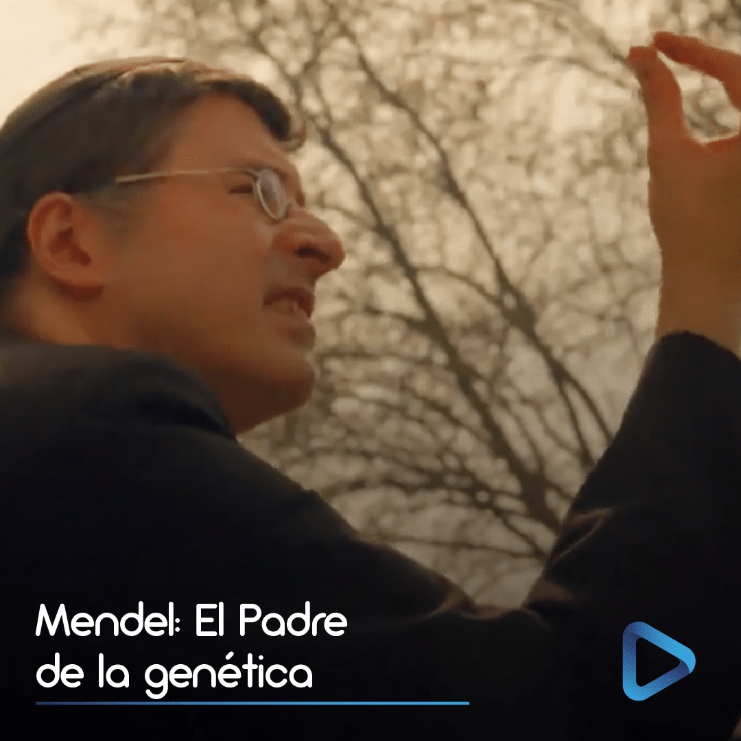 Gregor Mendel, Ciencia Y Fe - Famiplay, Entretenimiento De Principios Al Fin